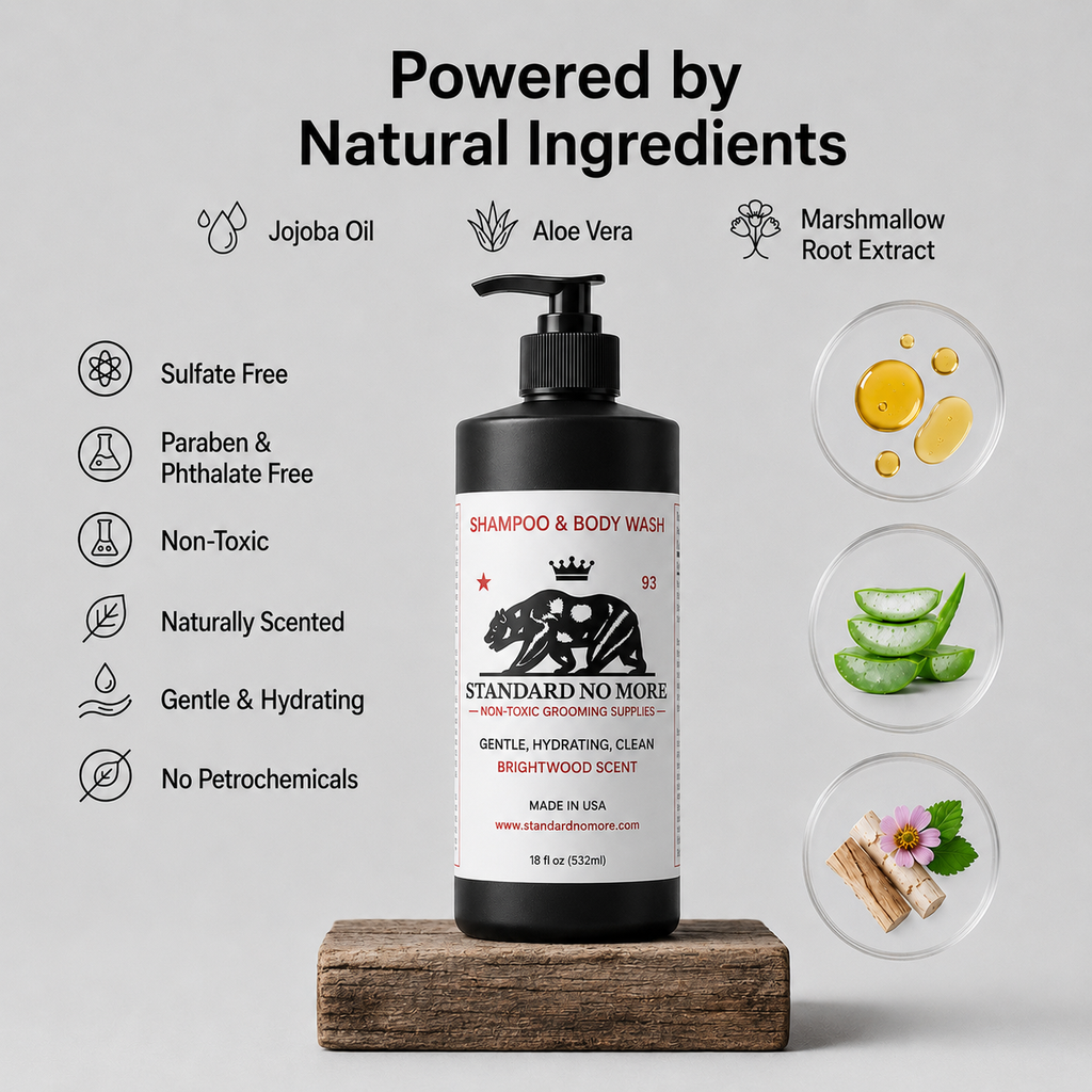 Men's Shampoo & Body Wash  | Sulfate & Phthalate Free | Non-Toxic | 16oz