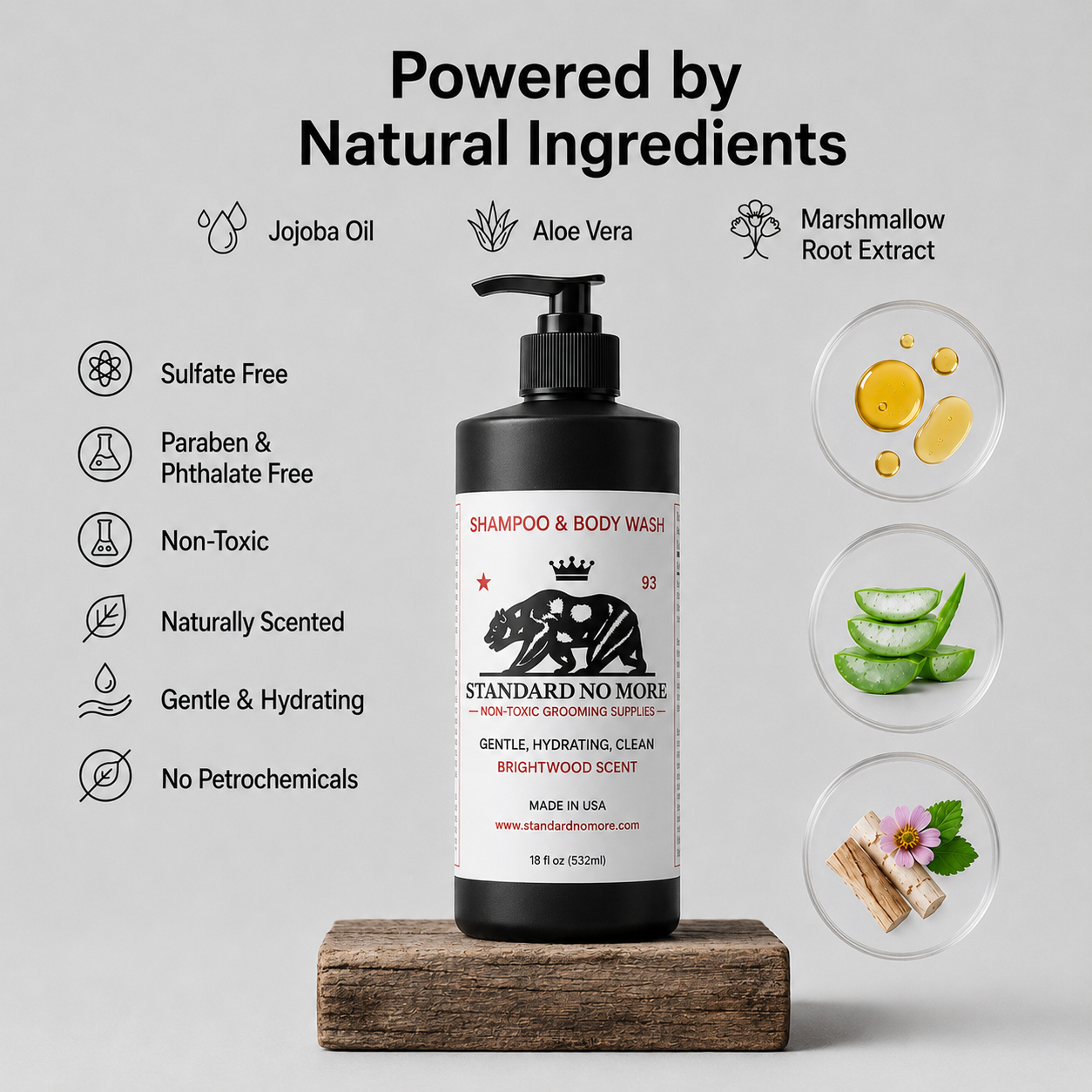 Men's Shampoo & Body Wash  | Sulfate & Phthalate Free | Non-Toxic | 16oz
